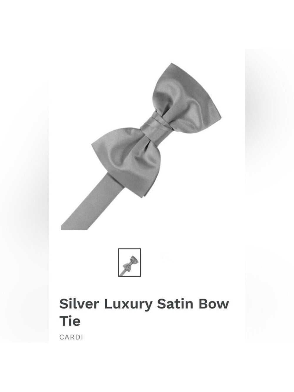 Silver Chrome Steel Wedding Prom Tuxedo Pre Tied clip on Bow tie bowtie